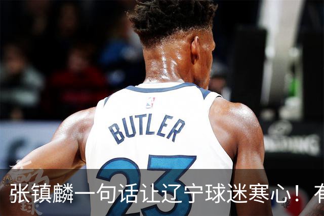 张镇麟一句话让辽宁球迷寒心！有些话不能说得太直白，耗子尾汁吧